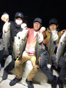 ナイトシーバス