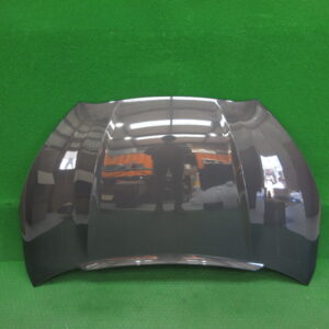 カーボン ボンネット